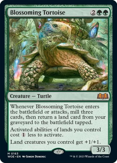 Blossoming Tortoise